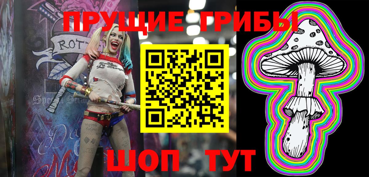 Галлюциногенные грибы мухоморы  Вход с VPN  Кольчугино  Галлюциногенные грибы Psilocybe 